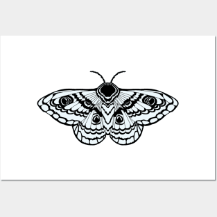 Simplistic Moth Posters and Art